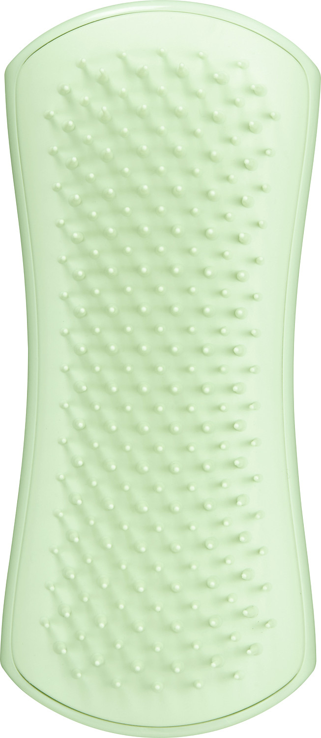  Tangle Teezer Pet Puppy Brush Mint 