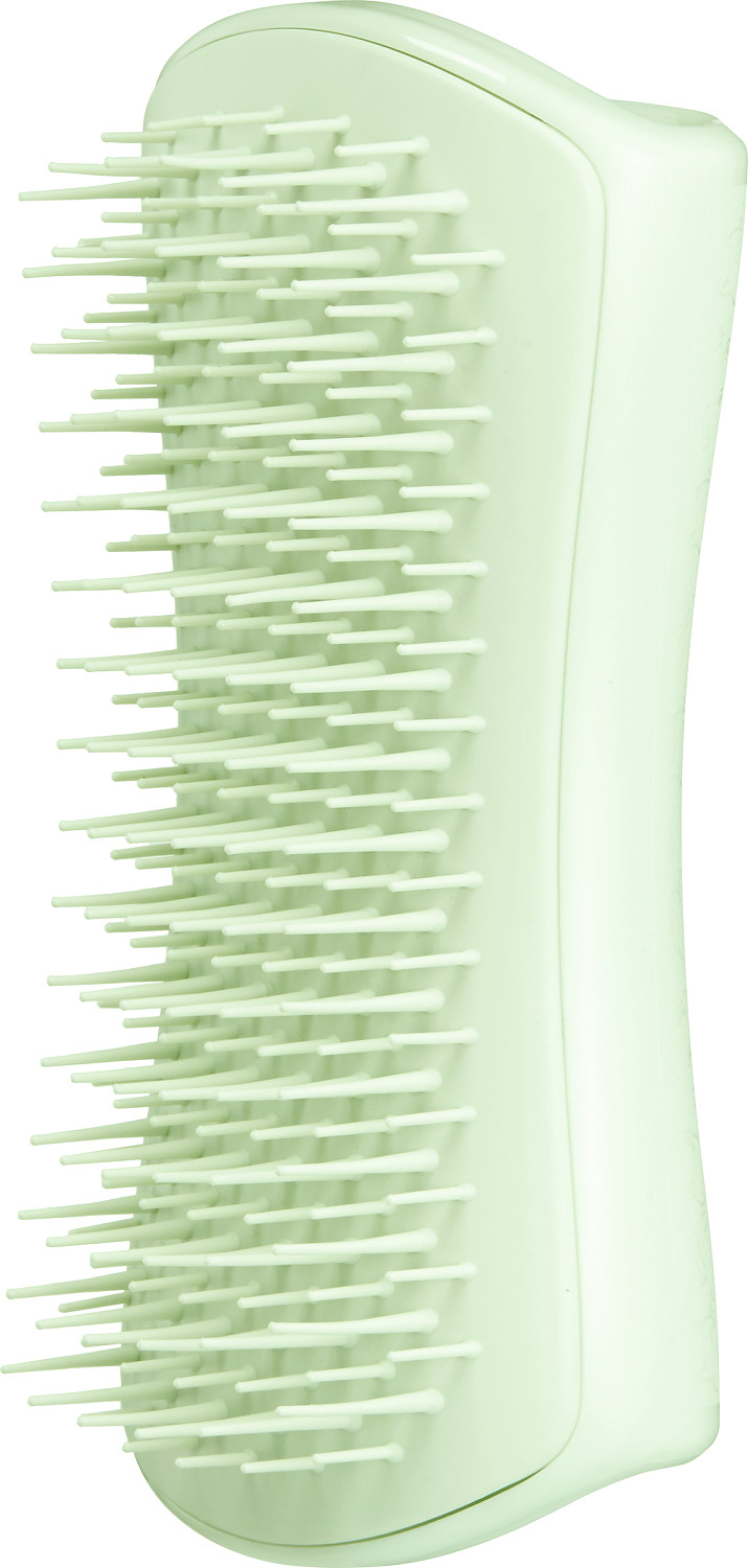  Tangle Teezer Pet Puppy Brush Mint 