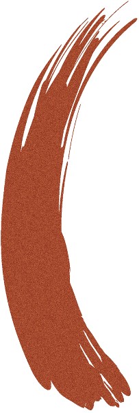  Play Up Hair Mascara copper 