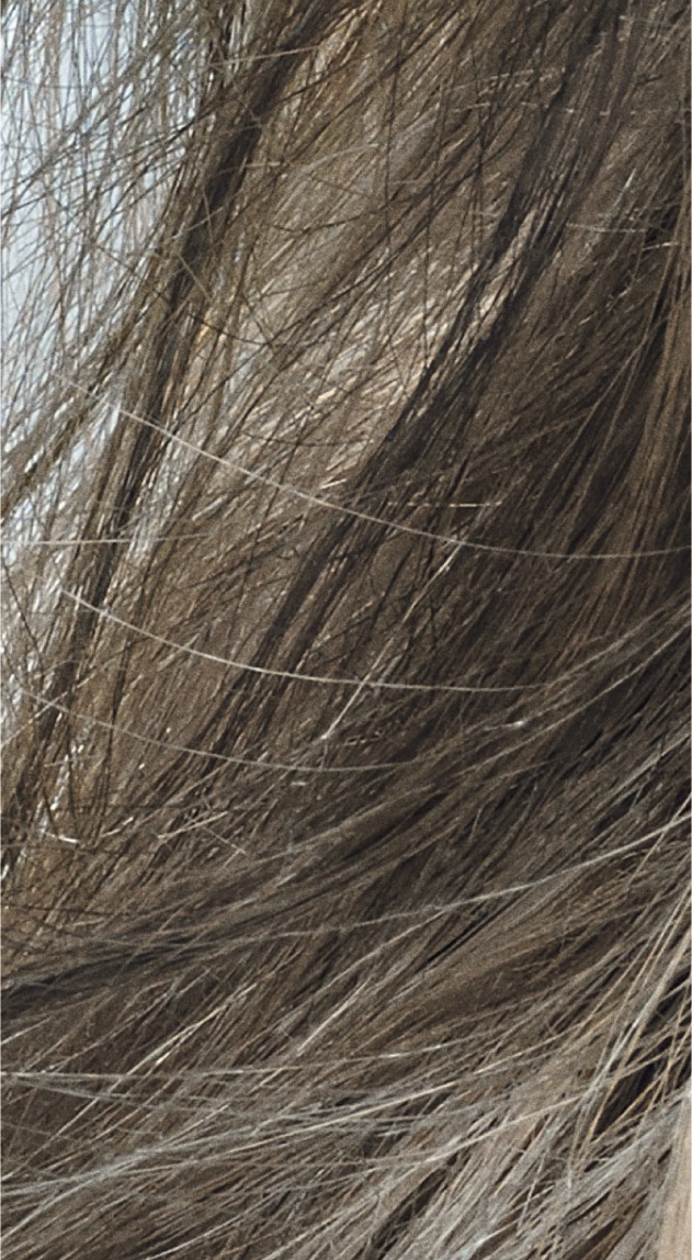  Goldwell Topchic 8CA Cool Ash 60 ml 