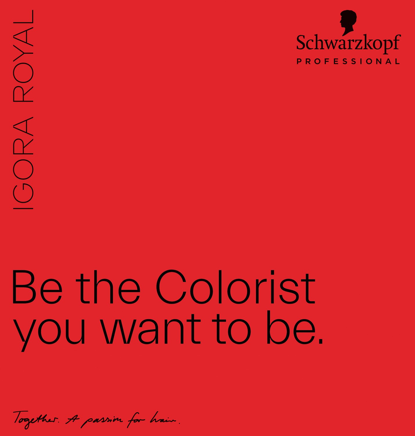  Schwarzkopf Igora Royal Premium Color Chart 