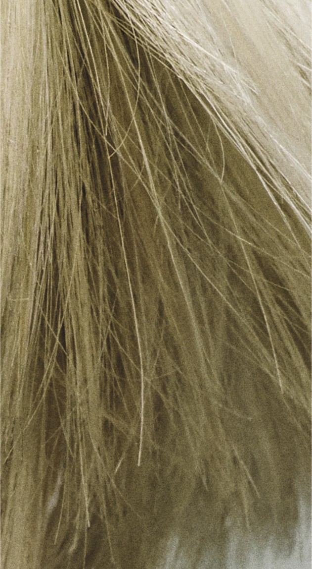  Goldwell Colorance 9MB Jade Blonde 120 ml 