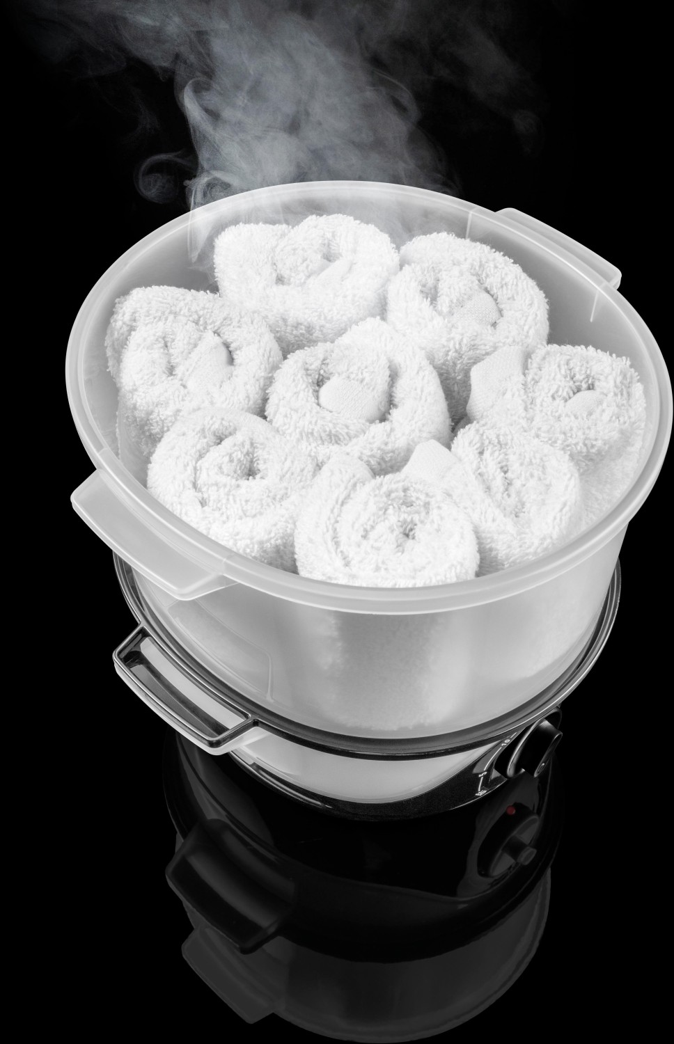  XanitaliaPro Aroma Towel Steamer 